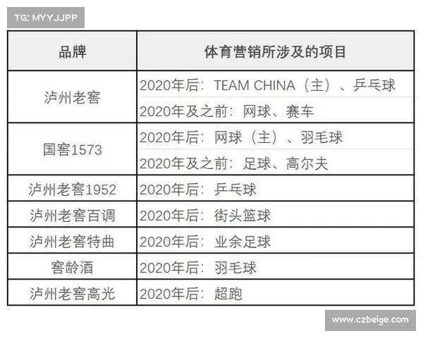 体育赛事赞助成功案例