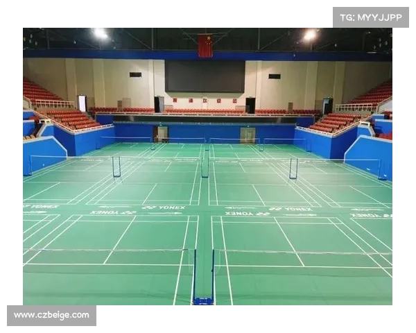 卢湾体育馆开放了吗