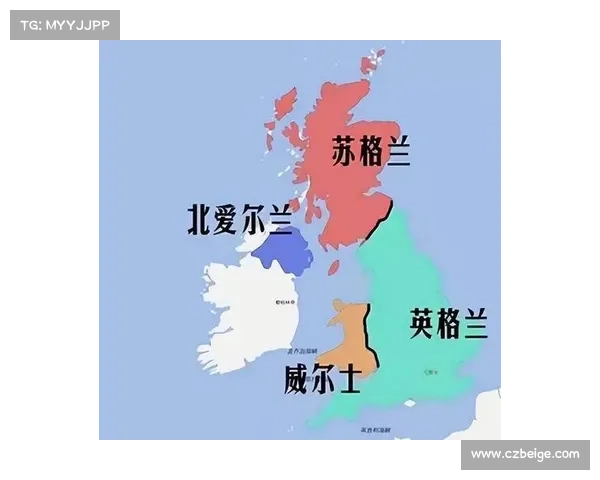 国王赛事、国王杯赛制规则